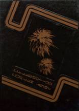 1982 Coal City High School Yearbook from Coal city, Illinois cover image