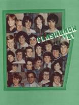 Bishop Feehan High School 1981 yearbook cover photo