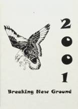 2001 Mississinawa Valley High School Yearbook from Union city, Ohio cover image