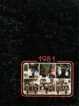 Rio Mesa High School 1981 yearbook cover photo