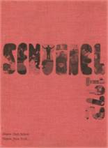 1972 Depew High School Yearbook from Depew, New York cover image