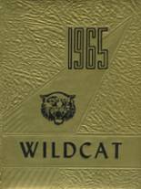 1965 Sweetwater High School Yearbook from Sweetwater, Tennessee cover image