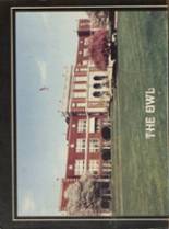 Ironton High School 1981 yearbook cover photo