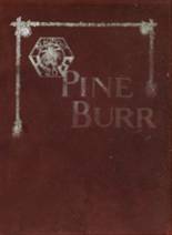 Beaumont High School 1920 yearbook cover photo