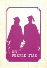 Hannibal High School 1971 yearbook cover photo